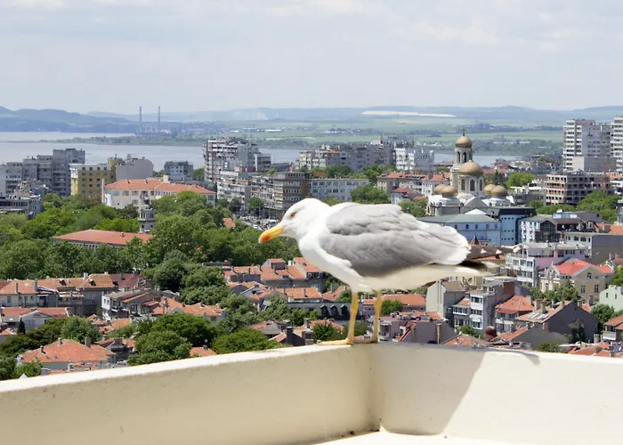 Ξενοδοχείο Cherno